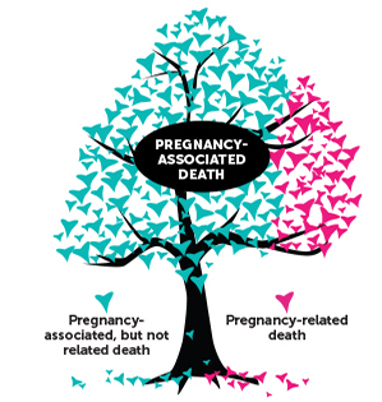 Pregnancy Associated Death Graphic