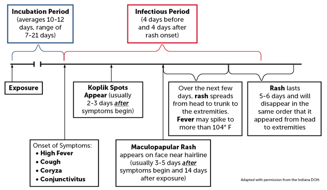 Measles Infection Timeline: Incubation Period (averages 10-12 days, Infectious Period (4 days before  and 4 days after rash onset); range of  7-21 days); symptoms appear and include high fever, cough, coryza, and conjunctivitis; Koplic Spots Appear (usually 2-3 days AFTER symptoms begin;  Maculopapular Rash  appears on face near hairline (usually 3-5 days after  symptoms begin and 14 days after exposure); Over the next few days, rash spreads from head to trunk to the extremities.  Fever may spike to more than 104° F; Rash lasts  5-6 days and will  disappear in the  same order that it  appeared from head to extremities