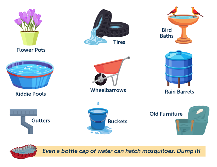 Infographic titled “Where They Breed: Common Backyard Sources” showing common places where mosquitoes lay eggs around the home. Illustrated breeding sites include flower pots, tires holding water, bird baths, kiddie pools, wheelbarrows, rain barrels, gutters, buckets, and old outdoor furniture. A note at the bottom states that even a bottle cap of water can hatch mosquitoes and encourages people to dump standing water weekly.