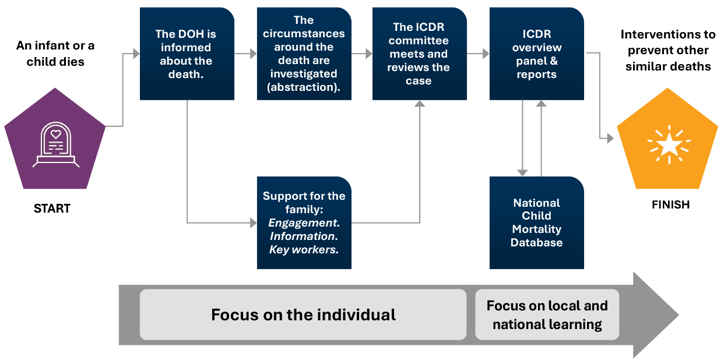 An infant or a child dies. The DOH is informed about the death. The  Circumstances around the death are investigated (abstraction). The ICDR committee meets and reviews the case. ICDR overview, panel, and reports. Interventions to prevent other similar deaths.