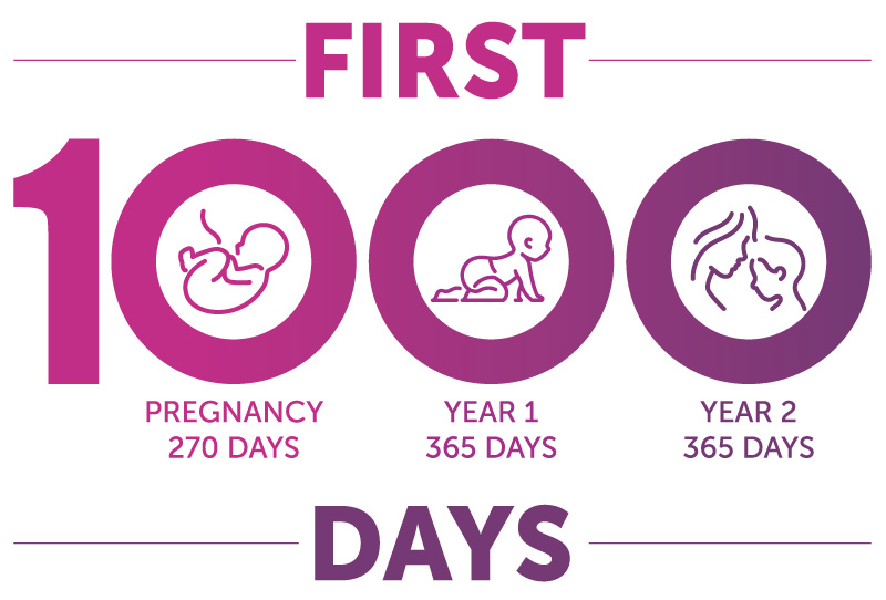 First 1000 Days (Pregnancy = 270 days, Year 1 = 365 Days, Year 2 = 365 Days)