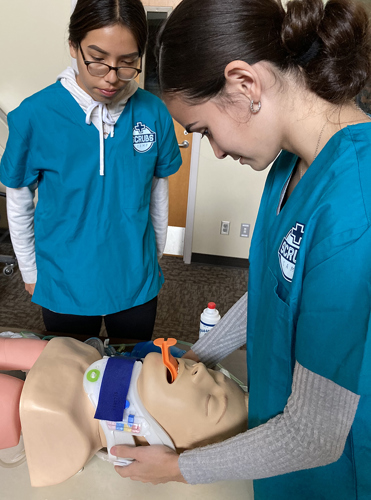 Scrubs Camp students working on CPR dummy